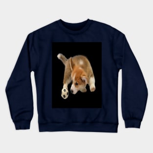 Puppy with a ball to play Crewneck Sweatshirt